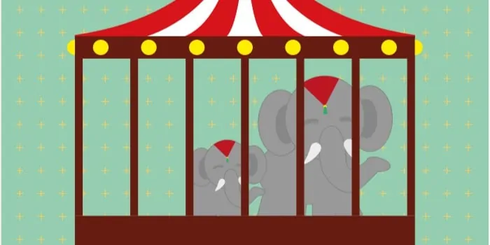 Elefante encerrado en circo
