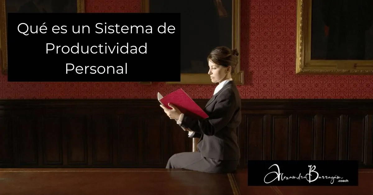 Sistema De Productividad Personal Alexandra Barrag N