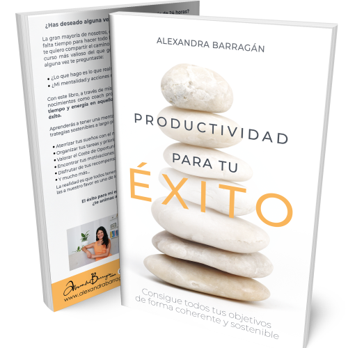 LIBRO PRODUCTIVIDAD PARA TU ÉXITO